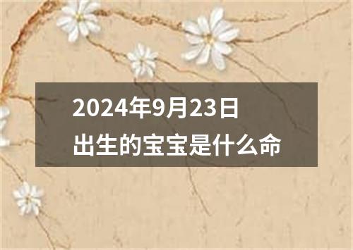 2024年9月23日出生的宝宝是什么命