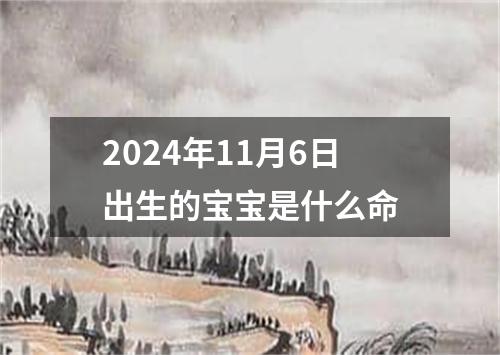 2024年11月6日出生的宝宝是什么命