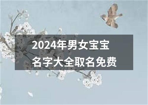 2024年男女宝宝名字大全取名免费