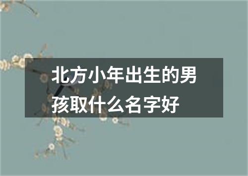 北方小年出生的男孩取什么名字好