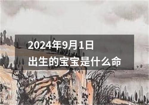 2024年9月1日出生的宝宝是什么命