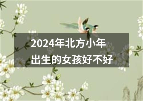 2024年北方小年出生的女孩好不好