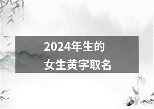 2024年生的女生黄字取名