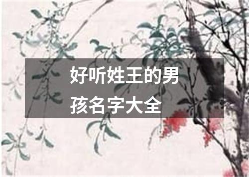 好听姓王的男孩名字大全