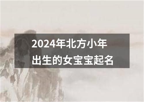 2024年北方小年出生的女宝宝起名