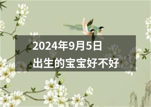 2024年9月5日出生的宝宝好不好