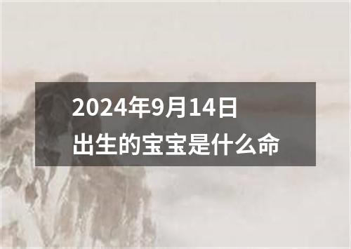 2024年9月14日出生的宝宝是什么命