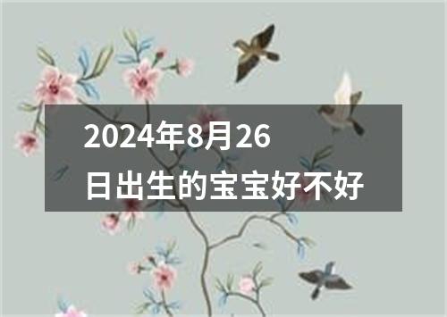 2024年8月26日出生的宝宝好不好