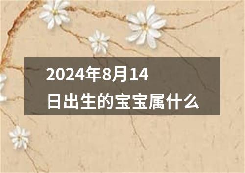 2024年8月14日出生的宝宝属什么