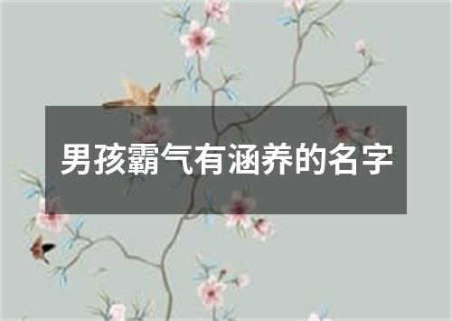 男孩霸气有涵养的名字