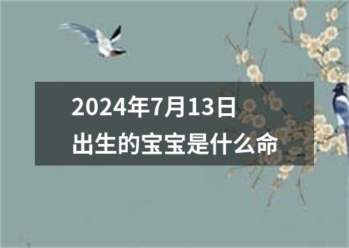 2024年7月13日出生的宝宝是什么命