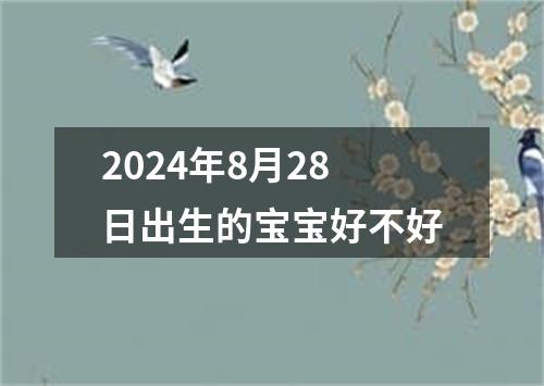 2024年8月28日出生的宝宝好不好