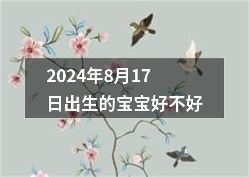 2024年8月17日出生的宝宝好不好