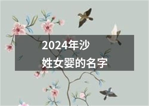 2024年沙姓女婴的名字