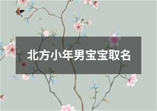 北方小年男宝宝取名