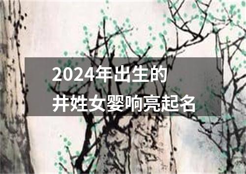 2024年出生的井姓女婴响亮起名