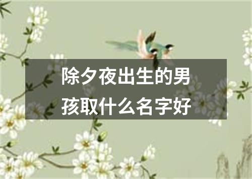 除夕夜出生的男孩取什么名字好