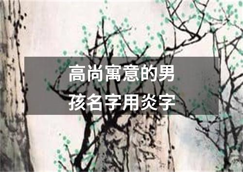 高尚寓意的男孩名字用炎字