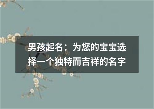 男孩起名：为您的宝宝选择一个独特而吉祥的名字