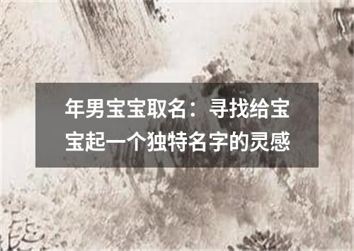 年男宝宝取名：寻找给宝宝起一个独特名字的灵感