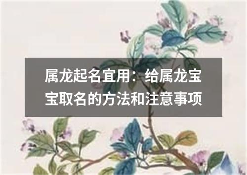 属龙起名宜用：给属龙宝宝取名的方法和注意事项