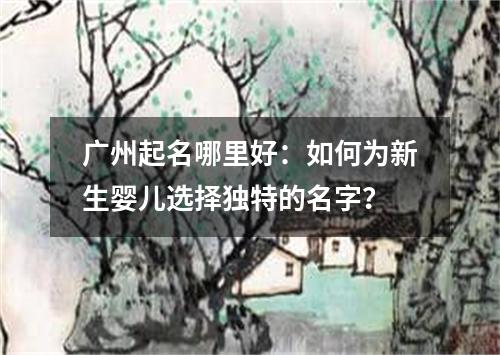 广州起名哪里好：如何为新生婴儿选择独特的名字？