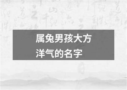 属兔男孩大方洋气的名字