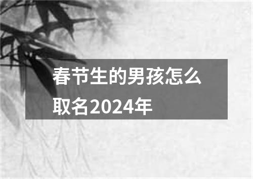 春节生的男孩怎么取名2024年