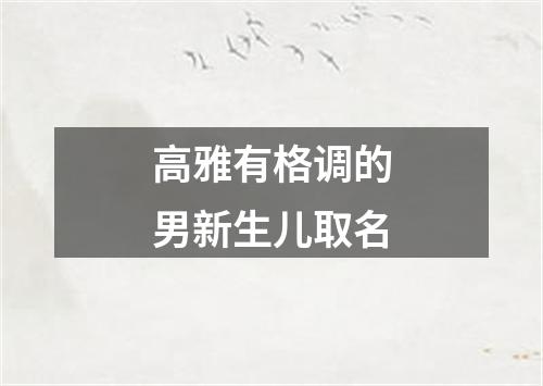 高雅有格调的男新生儿取名