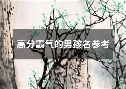 高分霸气的男孩名参考