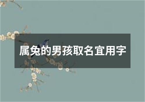 属兔的男孩取名宜用字