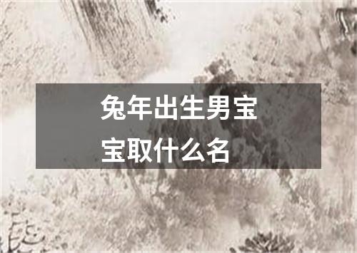 兔年出生男宝宝取什么名