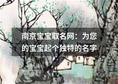 南京宝宝取名网：为您的宝宝起个独特的名字