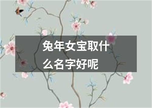 兔年女宝取什么名字好呢