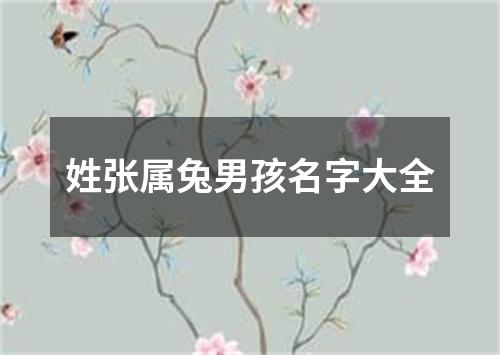 姓张属兔男孩名字大全