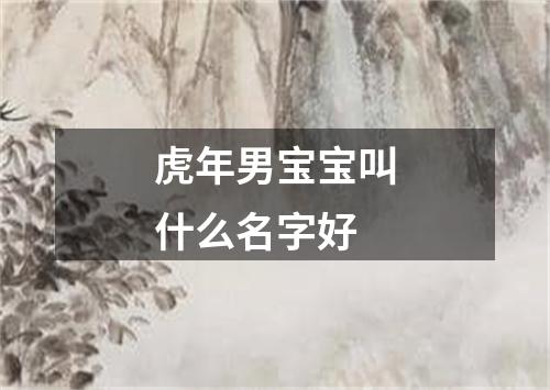 虎年男宝宝叫什么名字好