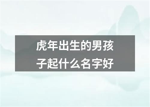 虎年出生的男孩子起什么名字好