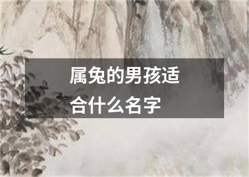 属兔的男孩适合什么名字