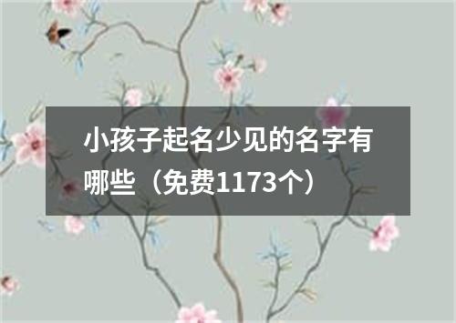 小孩子起名少见的名字有哪些（免费1173个）