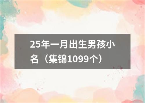 25年一月出生男孩小名（集锦1099个）