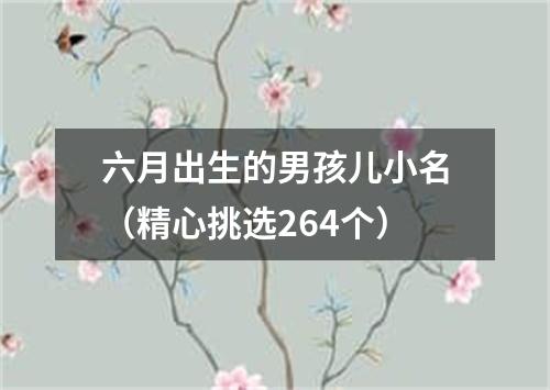 六月出生的男孩儿小名（精心挑选264个）