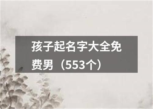 孩子起名字大全免费男（553个）