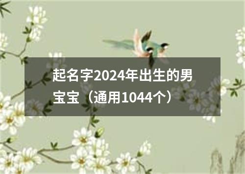 起名字2024年出生的男宝宝（通用1044个）