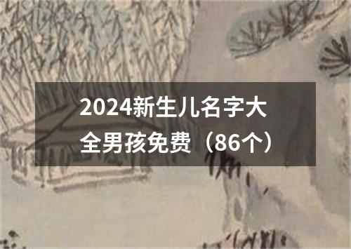 2024新生儿名字大全男孩免费（86个）