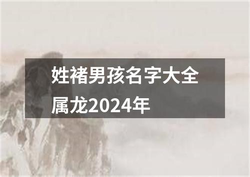 姓褚男孩名字大全属龙2024年