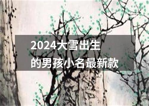 2024大雪出生的男孩小名最新款