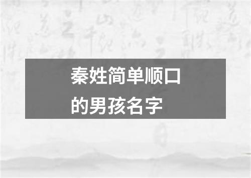 秦姓简单顺口的男孩名字