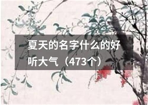 夏天的名字什么的好听大气（473个）