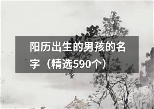 阳历出生的男孩的名字（精选590个）