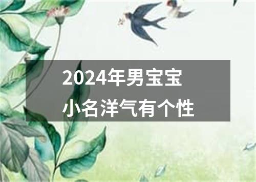 2024年男宝宝小名洋气有个性